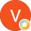 V Speaker