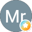 Mr Moon
