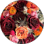 Dried Flowers Forever