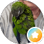 Kevin