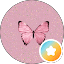 Jackiebutterfli
