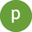 p15escamilla