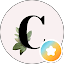 Cassipea