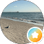 Anais -
