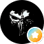 Solar Reflex