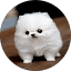 R M