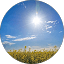 Scarlett