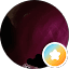 Cin