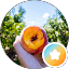 Recipe Trips