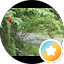 homebrau02