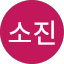 정소진