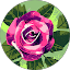Gericault De La Rose