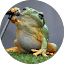 Koios D