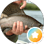 Flyfishing Zen