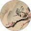 xiao mai