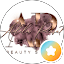 Beauty Studio by AP
