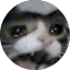 mae_ the looser