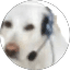 B N