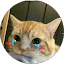 aibawww