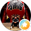 El Pakito WP