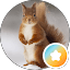 Squirrel Friend
