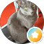 ulises santoyo