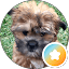 Nicole Linke