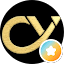 C Y Future Consulting