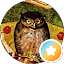 AEO