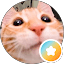 Minh Do