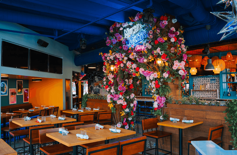 Mucho Gusto Barra + Cocina - Chicago