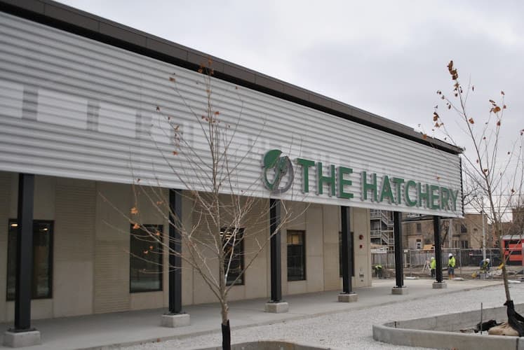 Honeydoe Authentic Mediterranean